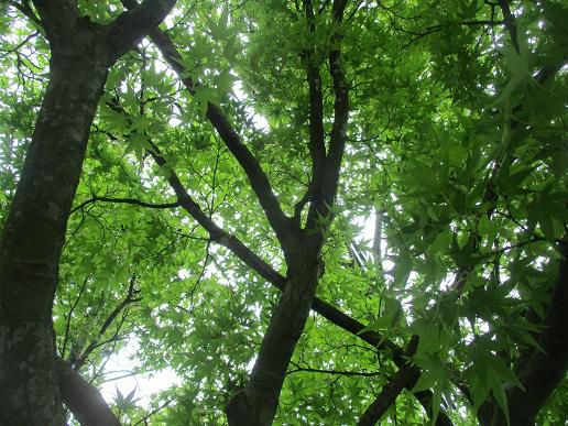 主体的・対話的で深い学びの重ね塗り