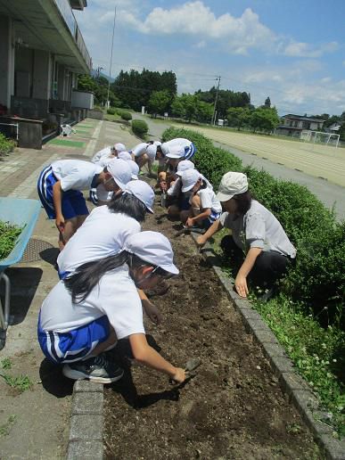 いのちの学習