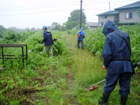 小松地区アダプト作業の事前草刈りと雑木伐採作業を行いました！！