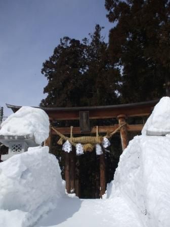 諏訪神社綱打ち　奉納しました！！