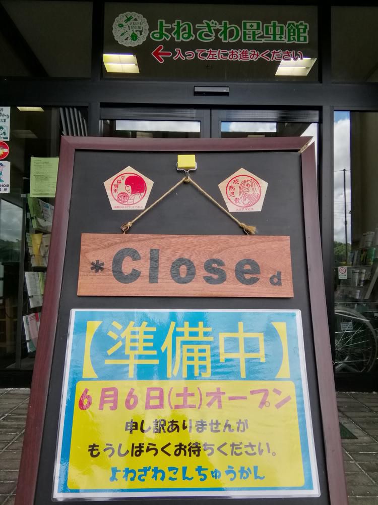 ６月６日(土)　休館解除します。