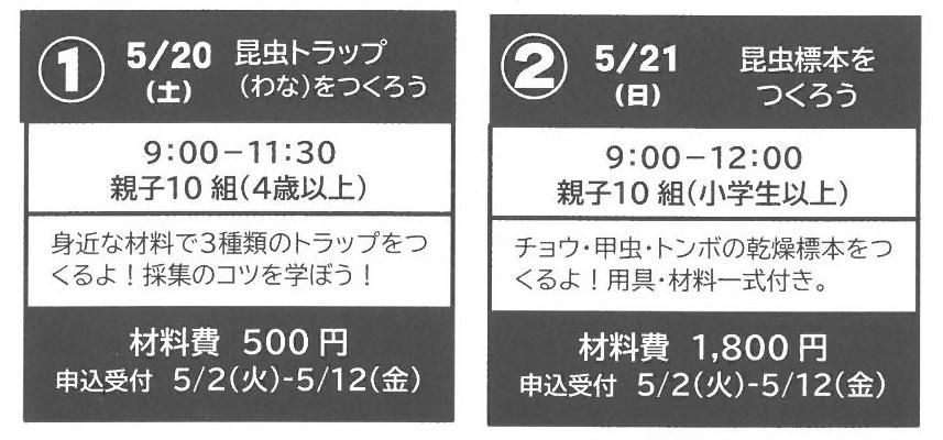 催し物ご案内　その２