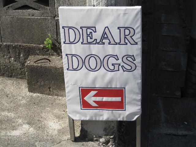 我が家の愛犬チョコが毎月お世話になっているお店をご紹介しまーす♪♪