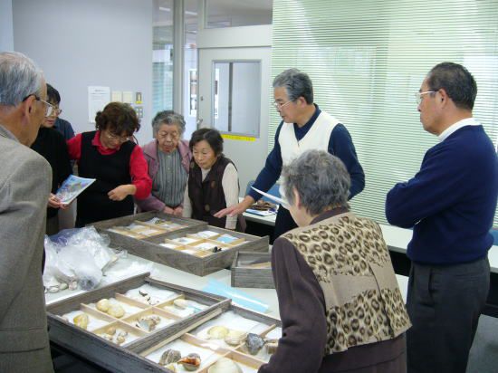 県立中央博物館に出展