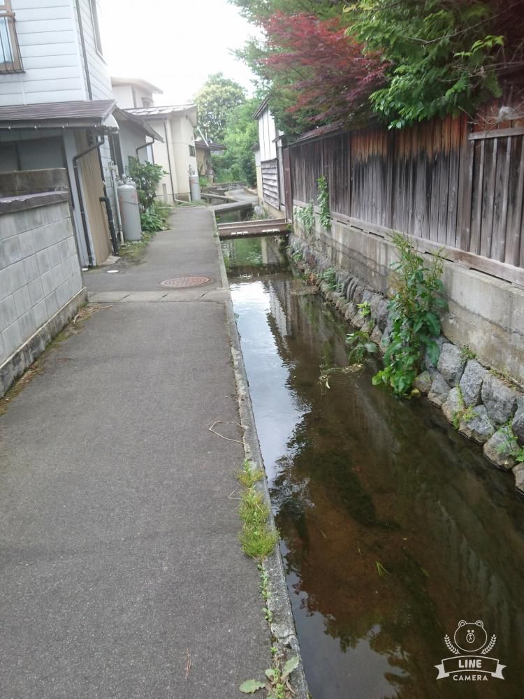 お散歩