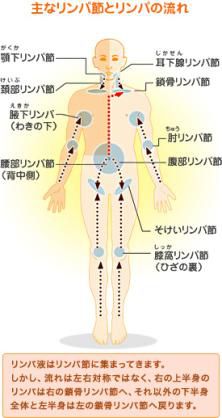 おすすめ！簡単セルフリンパケア