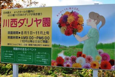 川西ダリヤ園その3