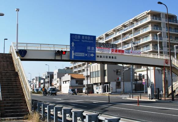 『たった一つの恋』と出逢った道（その１）