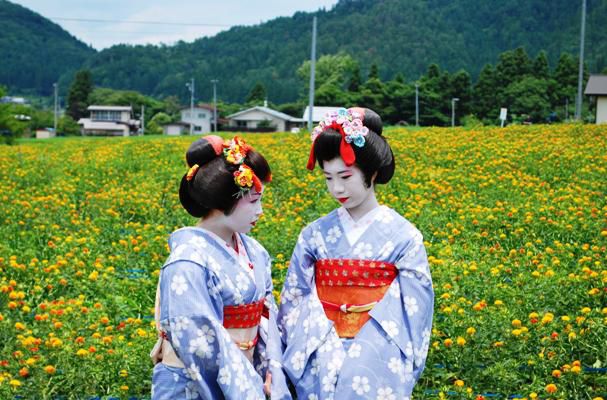 白鷹町紅花祭り（やまがた舞妓撮影）