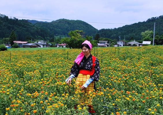 人形作り（紅花摘み）