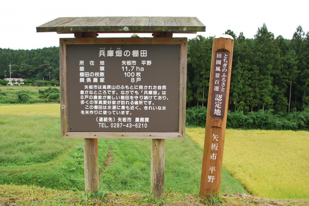 栃木県矢板市兵庫畑の棚田