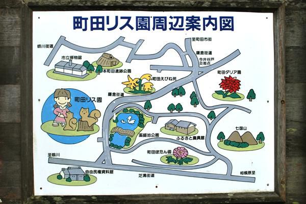 町田のダリア園