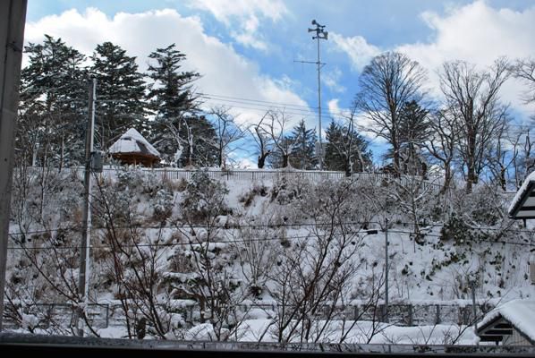 本格的な雪