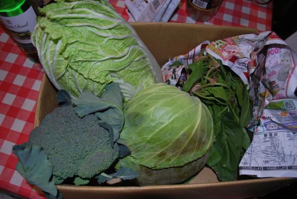 野菜の頂き物（激甘キャベツに白菜）