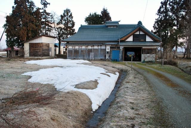 雪が融けて
