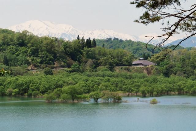 源流の森と飯豊山