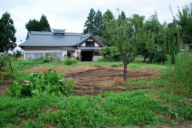 秋野菜に向けて