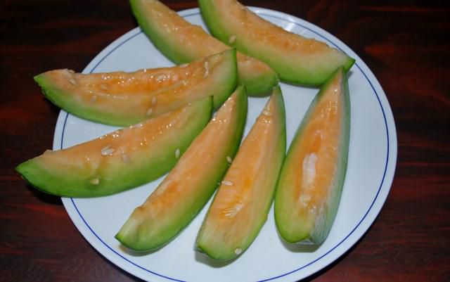 家庭菜園のメロン