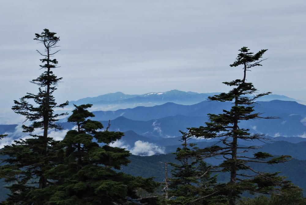 北望台の雲海