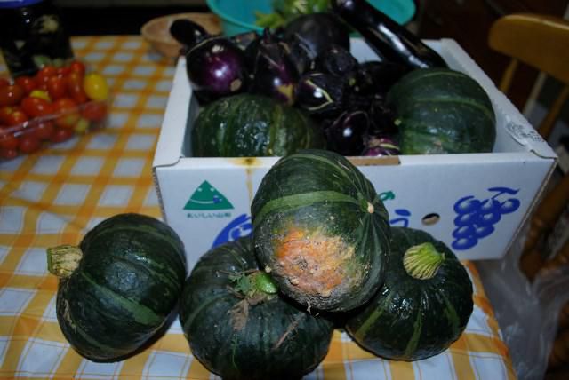 今朝の収穫野菜