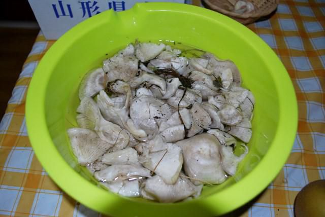 白しめじ