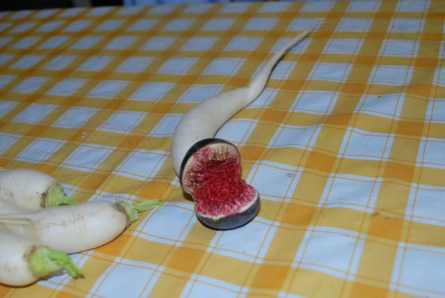 ワラスボVSイチジク