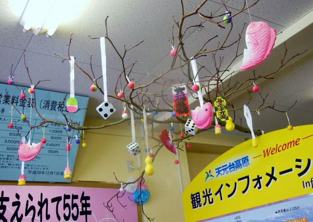 だんごの木