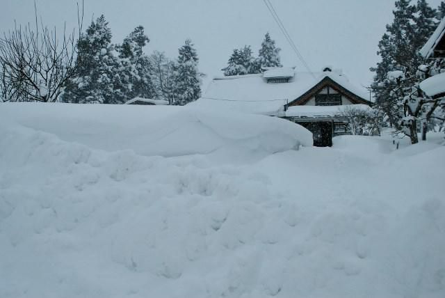 雪のバカヤロー