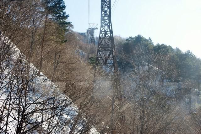 特別天然記念物ロープウエイから見えるニホンカモシカ