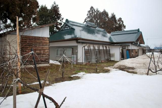 雪が融けて