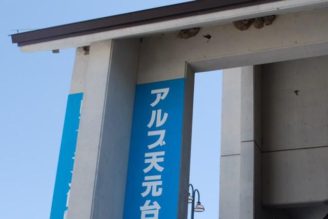 イワツバメ