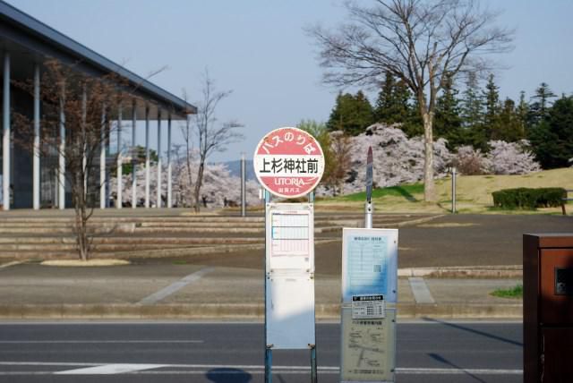 上杉神社の桜満開