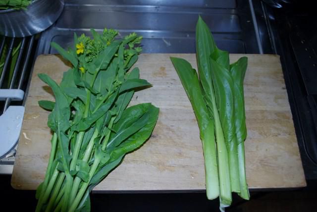 庭の春野菜で
