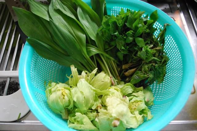 便秘解消山菜