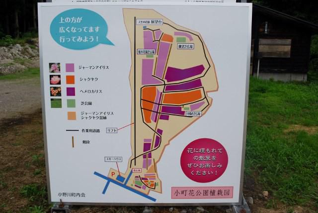 小町花公園