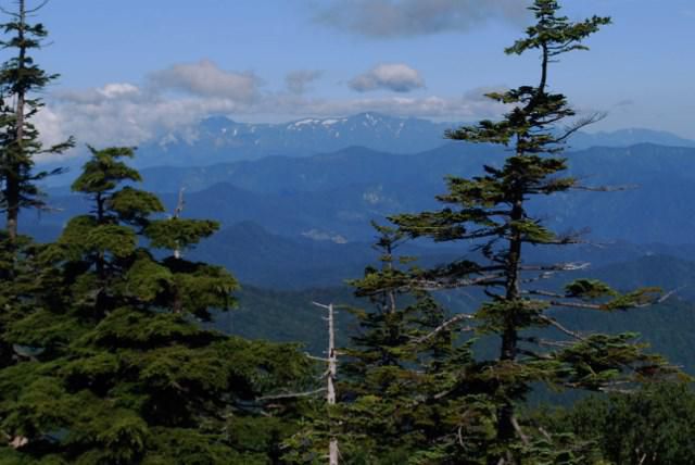 高原は涼しい
