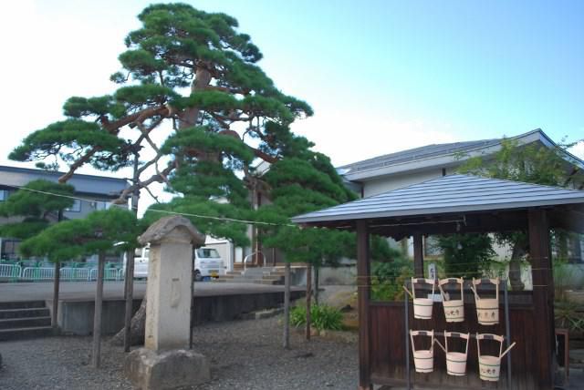 金池山心光寺