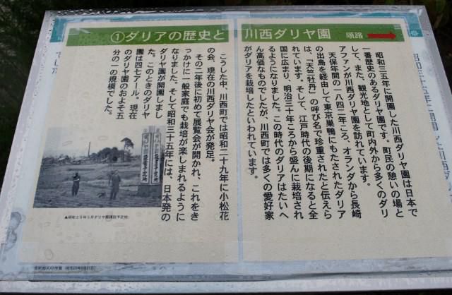 川西ダリヤ園