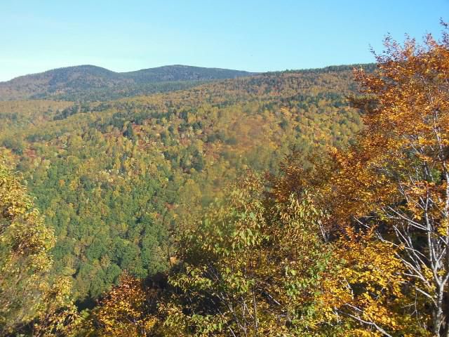 天元台高原の紅葉きれいです