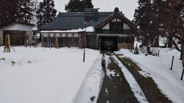 遅れましたが新年あけおめ