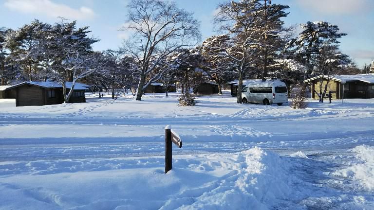 今年一番の雪