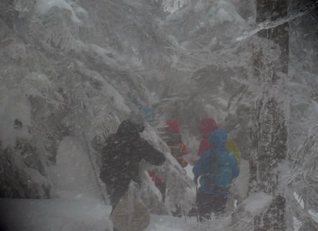 春山遭難防止作業