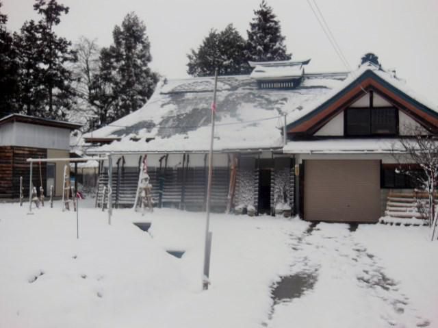 雪が降りました
