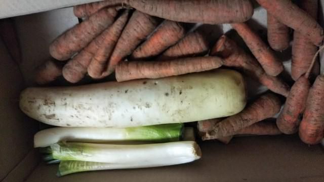 頂き物野菜