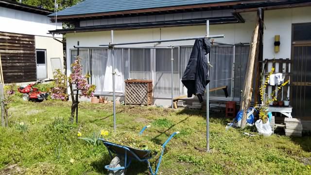 ゴールデンウイークは山菜