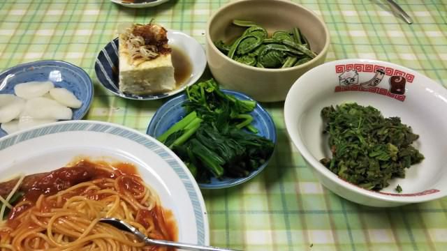 山菜入りスパゲティー
