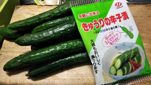 頂き物キュウリ