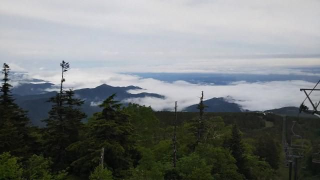 雲海