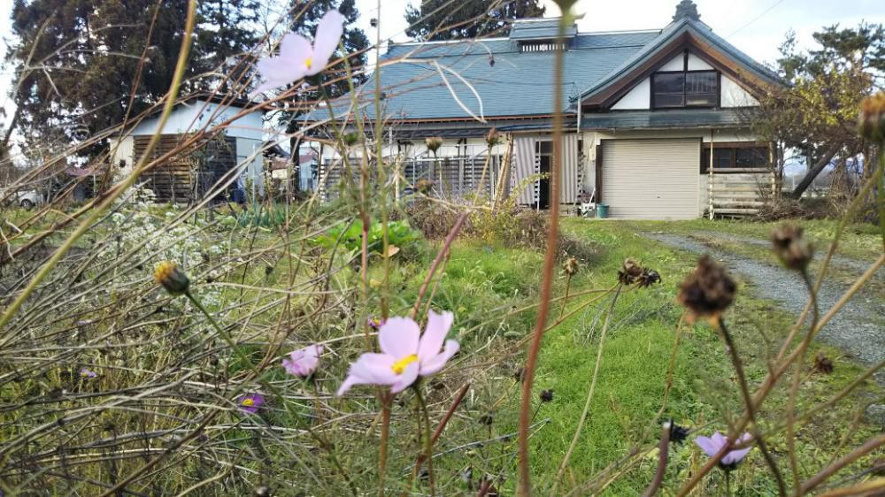 庭の片づけ終わり