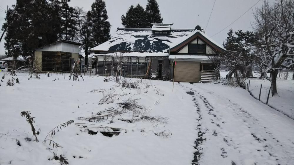 雪降り